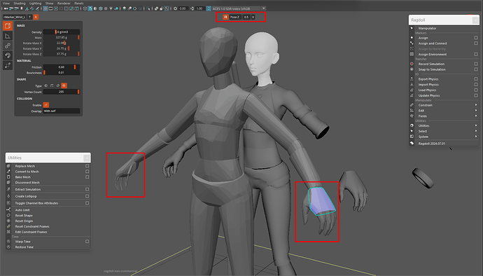 Mirror pose rigging